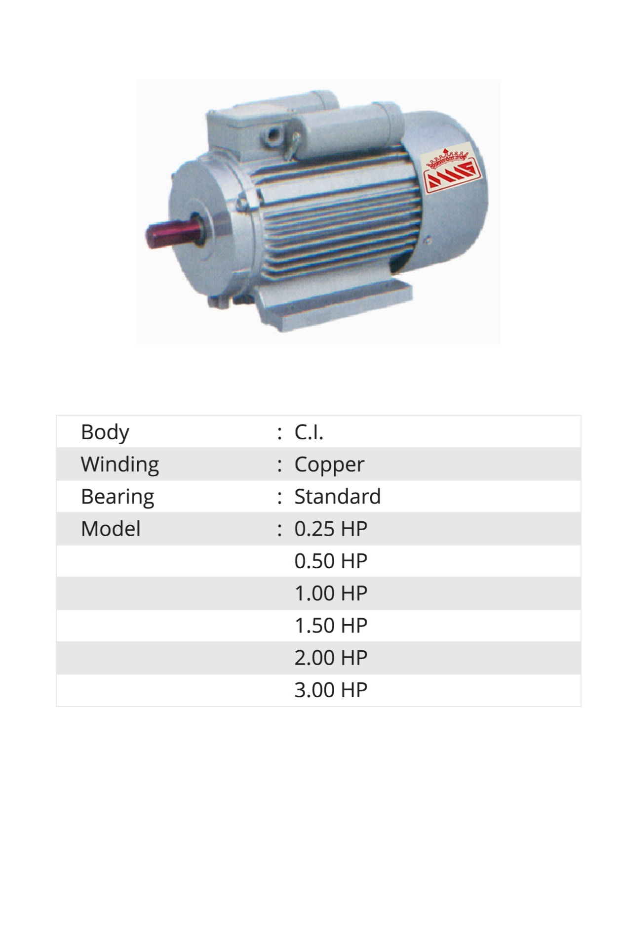 Electric Motor